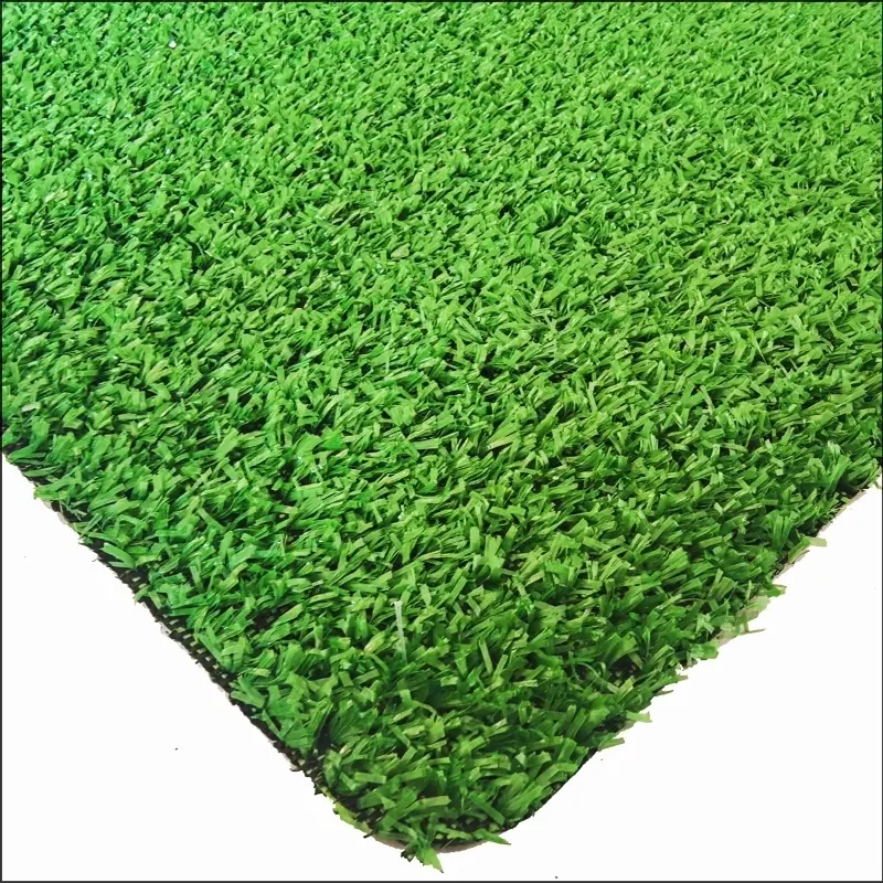 See More About Erba del tappeto CG8