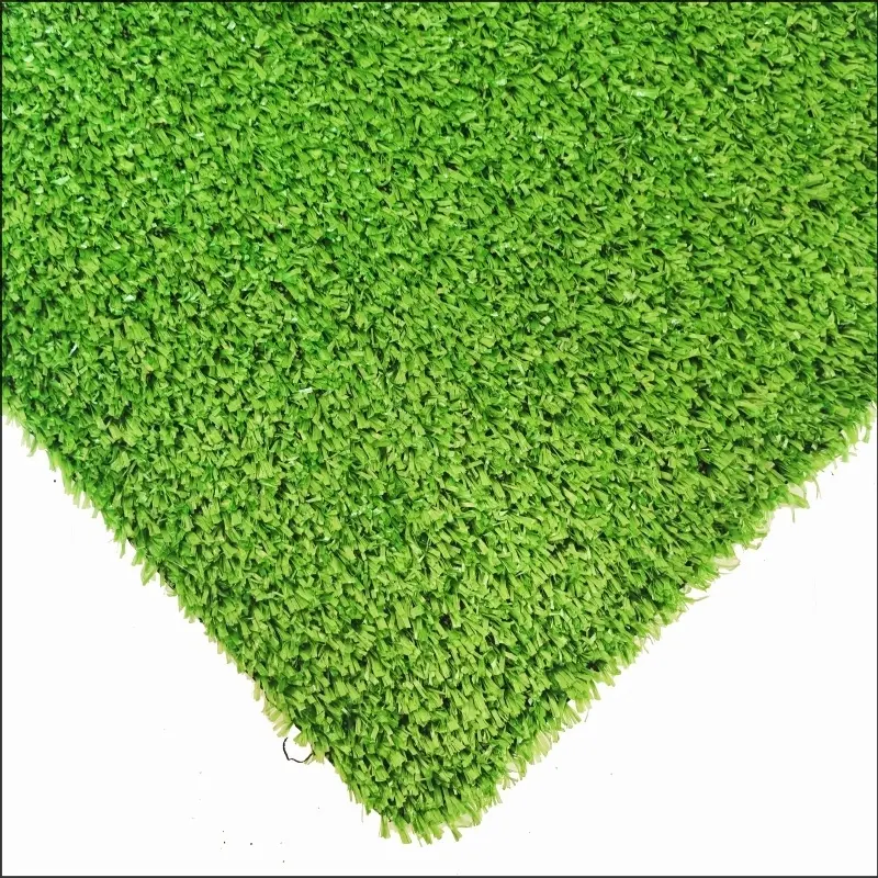 See More About Erba del tappeto CG10