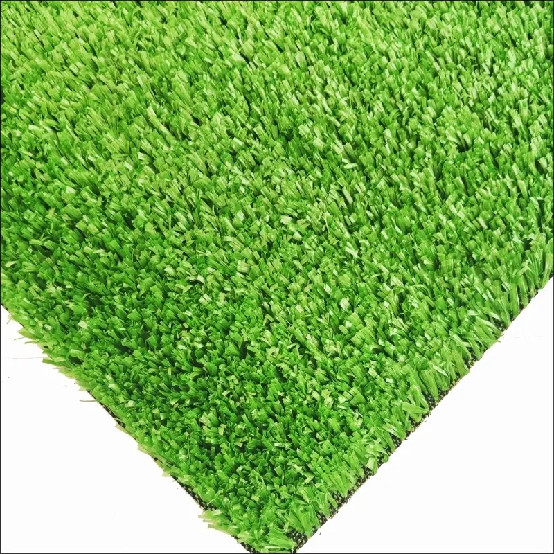 See More About Erba del tappeto CG15